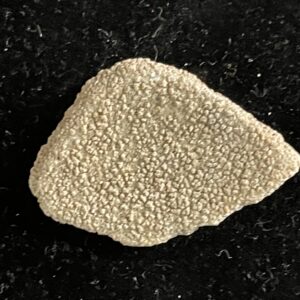 Dinosaur Eggshell Fragment