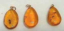 Polished Amber Pendants with insect inclusions