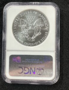 2007 Silver Eagle Reverse
