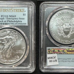 2020-P Silver Eagle