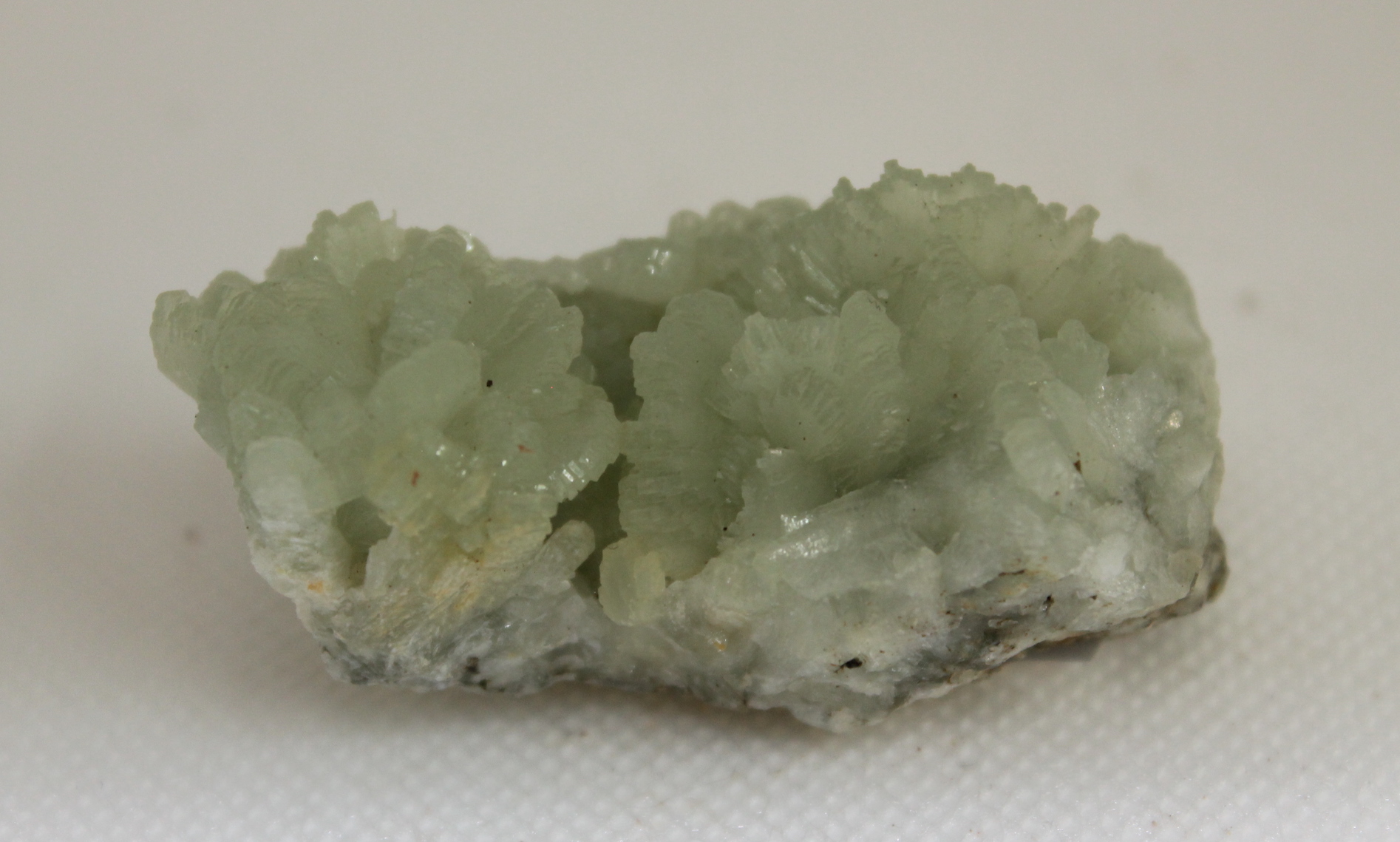 Prehnite