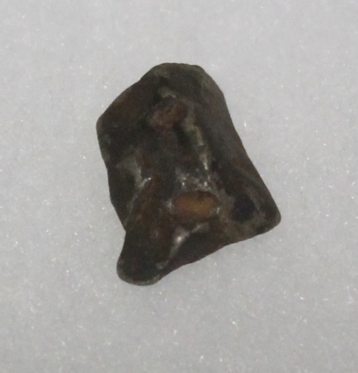 Canyon Diablo Meteorite