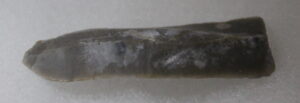 Neolithic Scraper