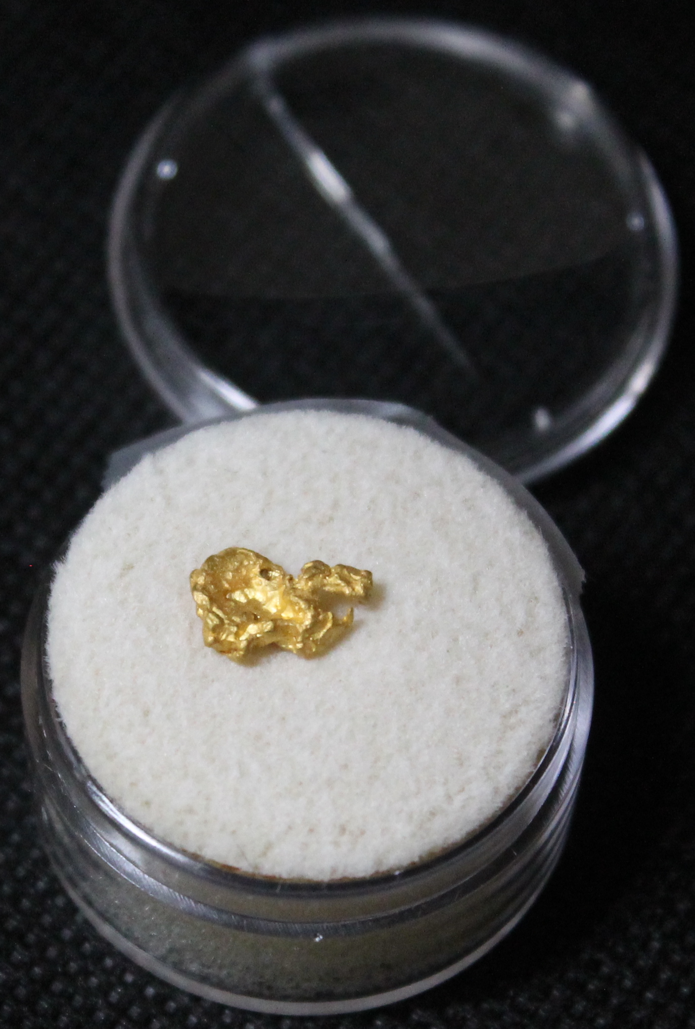 Dahlonega Gold Nugget