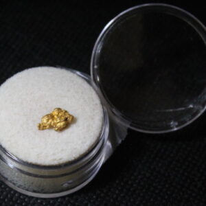 Dahlonega Gold Nugget