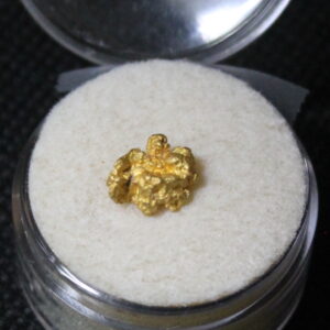 Dahlonega Gold Nugget
