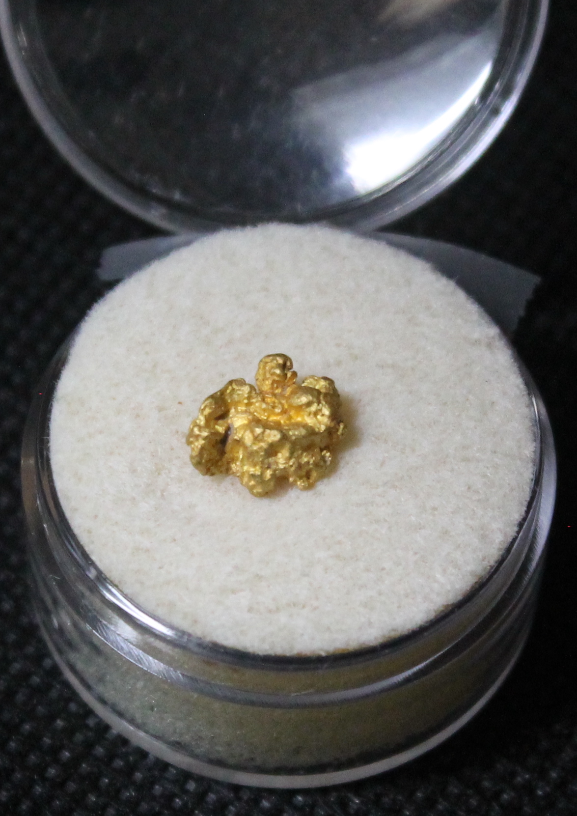 Dahlonega Gold Nugget